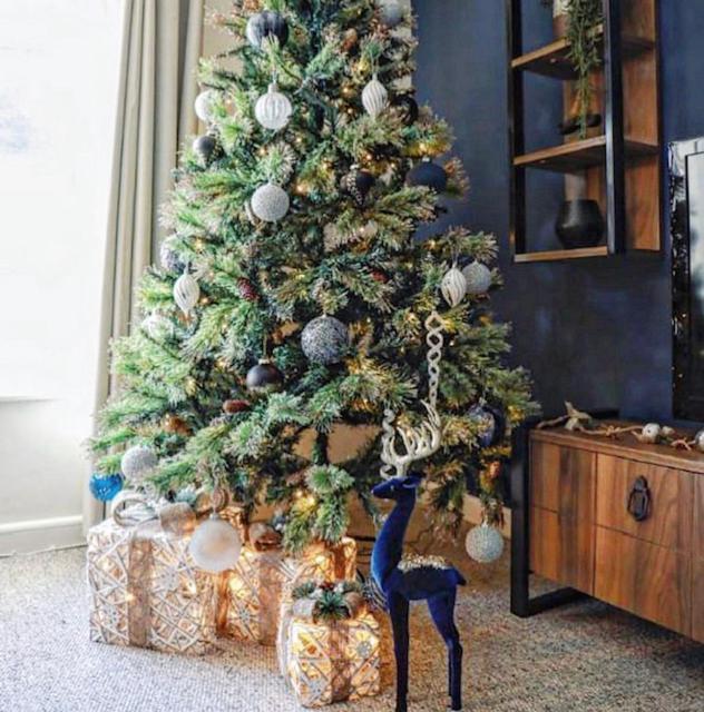 Blueberry View - Wyndale Living - Central Worcester Extérieur photo
